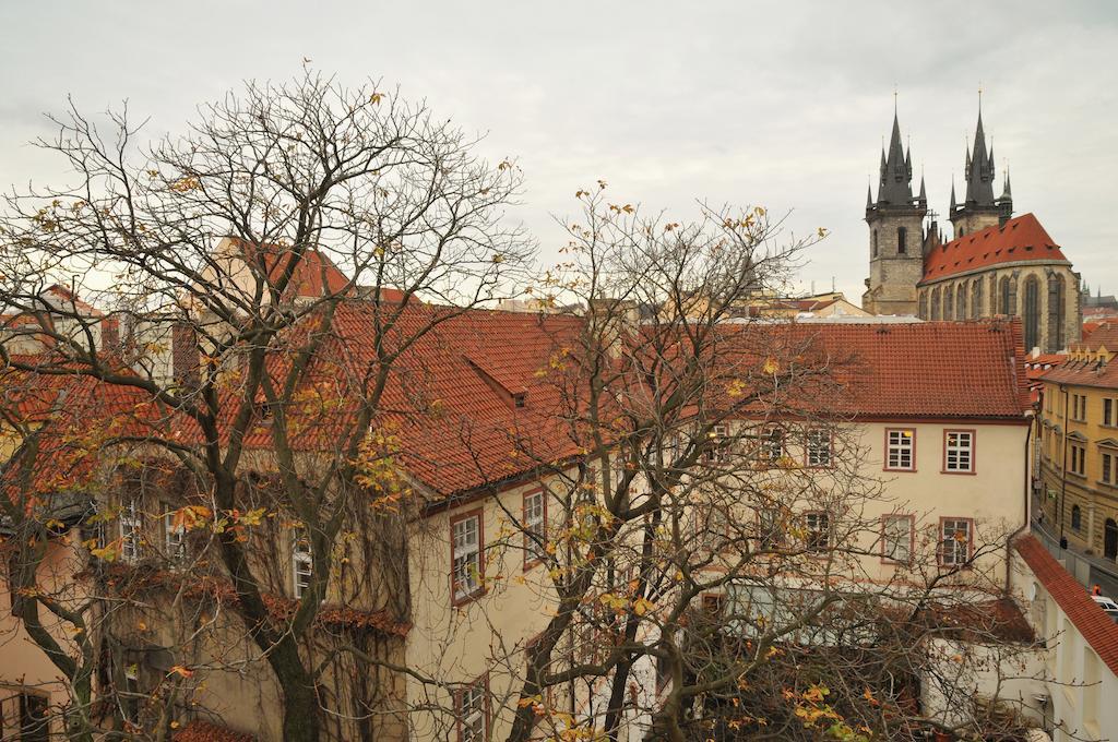 Selinor Old Town Apartments — Photos 3